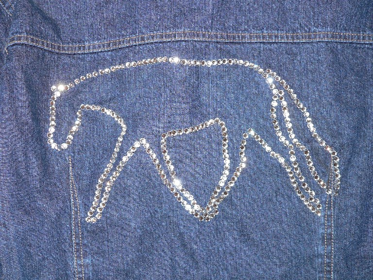 close up of crystal jacket design