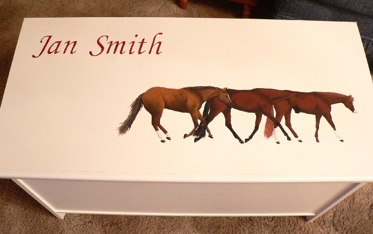 Small tack box
