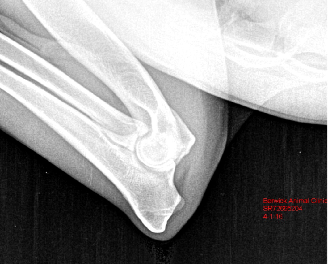 elbow #2
